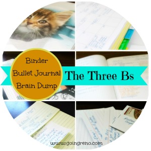 The Three Bs -- Binder, Bullet Journal, and Brain Dump--are game changers for the born disorganized.